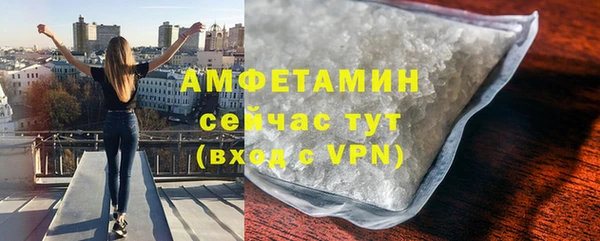 apvp Ельня