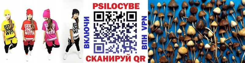 Галлюциногенные грибы мухоморы  Купить закладки  Невель 